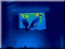 G1201-24.jpg