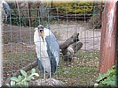 G1201-25_0197.jpg