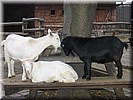 Z1201-63_0333.jpg